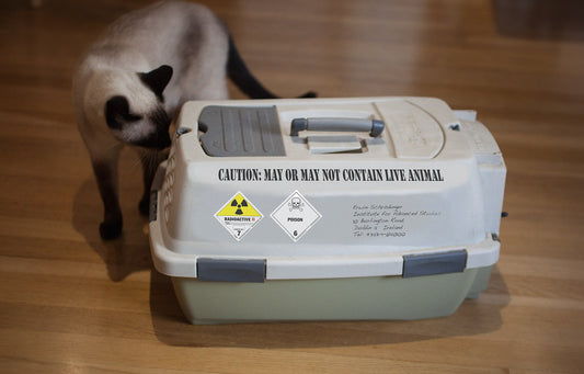 The Cat Still Sets Off the Geiger Counter